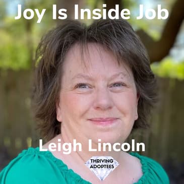 Joy Is An Inside Job Leigh Lincoln