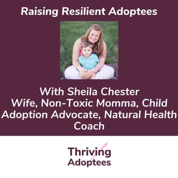 Raising Resilient Adoptees With Sheila Chester - Adoptive Mom Wife, Non-Toxic Momma, Child Adoption Advocate, Natural Health Coach