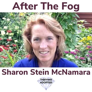 After The Fog With Sharon Stein McNamara