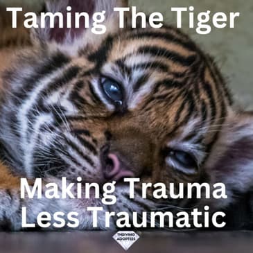 Taming The Tiger Webinar Replay