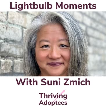 Lightbulb Moments With Adoptee Suni Zmich
