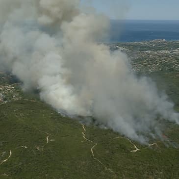 Testing Insurance Markets for Climate Disasters An Interview with David Richardson — Hosted by Michael Lester