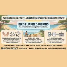 Bird Flu & How to Protect Your Pets (Dr Rebecca Cassilles