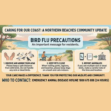 Bird Flu & How to Protect Your Pets (Dr Rebecca Cassilles