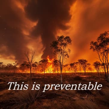 Fire, Culture, and Truth: Indigenous Perspectives on Forest Fires — Continuation of Forest Wars