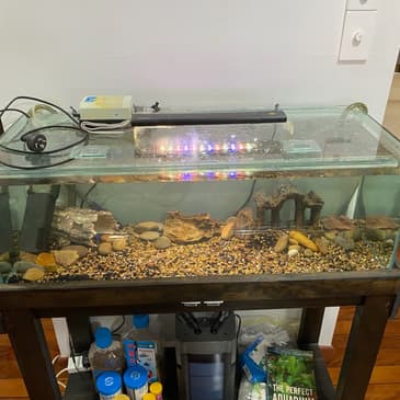 Trevor’s Music: A Story of Friendship and Craftsmanship — Hosted by Chrissy Mack