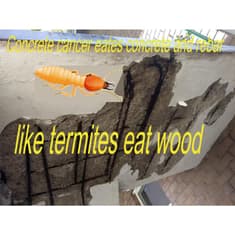 Chrissy Mack Interviews Harry Muchmore — Understanding Concrete Cancer and Structural Safety