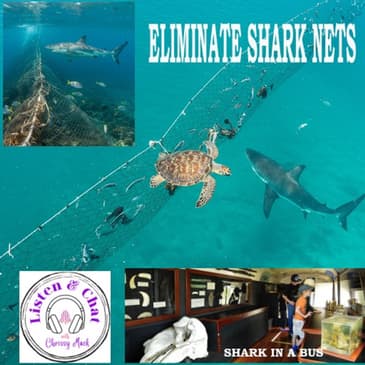 Part 2 Shark Preserved in a Bus: An Interview with Paul Sharp — Hosted by Christine McCormack