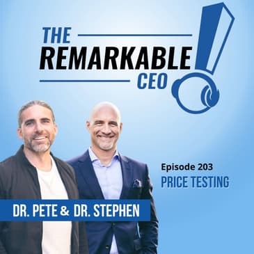 203 - Price Testing