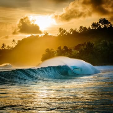 New Surf Travel Platforms! Book Your Dream Getaway with Line Up Surf & Maninoa.com | Erica & Rex