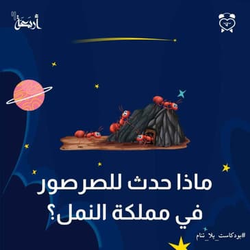 ماذا حدث للصرصور في مملكة النمل؟