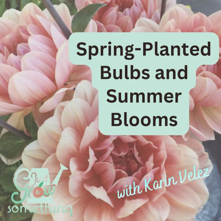 Just Grow Something with Karin Velez