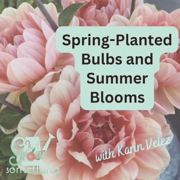 Spring-Planted Bulbs and Summer Blooms: A Guide to Growing and Storing Dahlias, Gladiolus, and More - Ep. 301