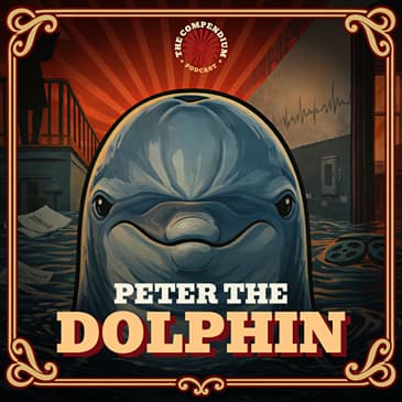 Peter the Dolphin: Weird History and NASA’s Experiment That Went Too Far
