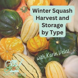 How to Know When Winter Squash is Ready to Harvest (and How to Store Them) - Ep. 315