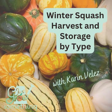 How to Know When Winter Squash is Ready to Harvest (and How to Store Them) - Ep. 315