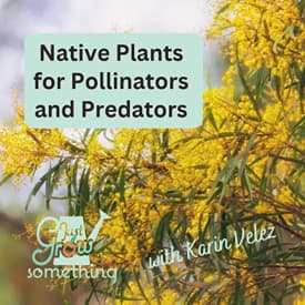 How to Attract Pollinators and Natural Pest Predators with Native Plants - Ep. 324