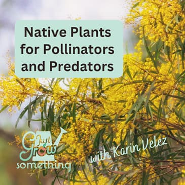 How to Attract Pollinators and Natural Pest Predators with Native Plants - Ep. 324