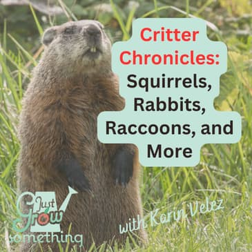 Who's Eating My Garden? Identifying and Deterring Common Backyard Wildlife - Ep. 314