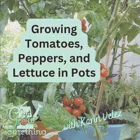 Growing Tomatoes, Peppers, and Lettuce in Pots - Ep. 298