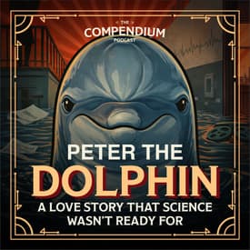 Peter the Dolphin: Weird History and NASA’s Experiment That Went Too Far