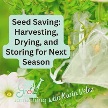 Seed Saving: Harvesting, Drying and Storing for Next Season - Ep. 322