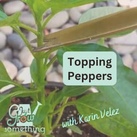 Topping Peppers: What does the science say, yay or nay? - Ep. 299