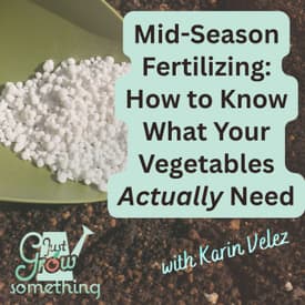 Mid-Season Fertilizing: How to Know What Your Vegetables Actually Need - Ep. 306