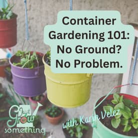 Container Gardening 101 - Ep. 297