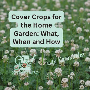 Cover Crops in the Home Garden - Ep. 318