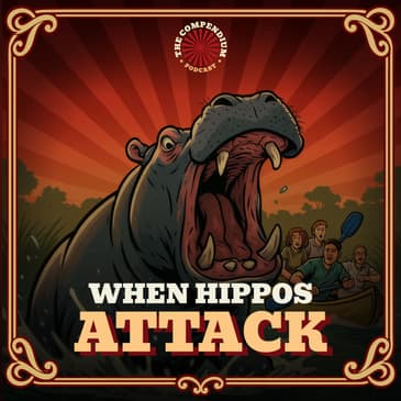 When Hippos Attack: Survival Stories from the Zambezi River Safari Nightmare
