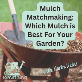 Mulch Matchmaking: Choosing the Right Mulch for Your Vegetable Garden - Ep. 302