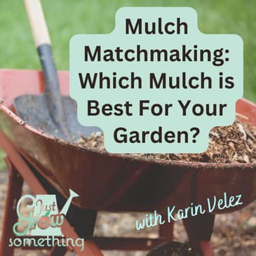 Mulch Matchmaking: Choosing the Right Mulch for Your Vegetable Garden - Ep. 302
