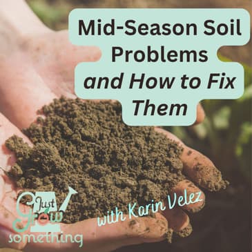 The Mid-Season Soil Check - Ep. 310