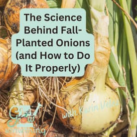 Fall-Planted vs. Spring-Planted Onions: Choosing the Right System for Your Garden - Ep. 317