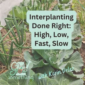 Interplanting Done Right: The High, Low, Fast, Slow Method for Bigger Harvests - Ep. 295