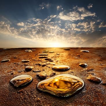 Sharing Oil: Spiritual Preparedness and the Parable of the Wise and Foolish Virgins