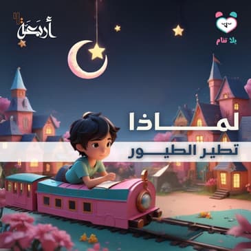 بودكاست يلا تنام | لماذا الطيور وحدها من يطير؟