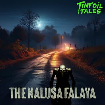 Ep. 162: The Nalusa Falaya