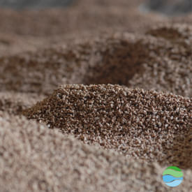 S1 #4 | Biochar and BECCS: can we do more with plant power?