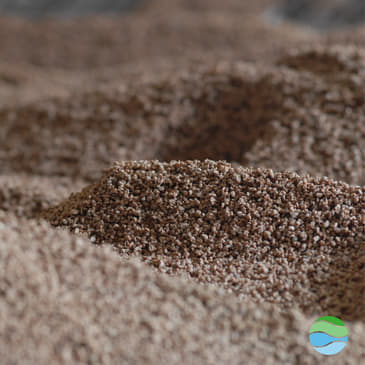 S1 #4 | Biochar and BECCS: can we do more with plant power?