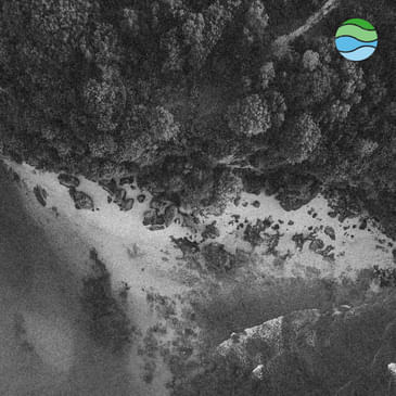 S2 #10 | Ocean-based carbon removal part 2: What's happening along our coastlines?