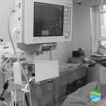 S2 #8 | Aledade's carbon removal story: How can smaller companies do more in this space?