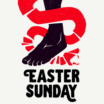 The View from the Tomb - John 20:1-8