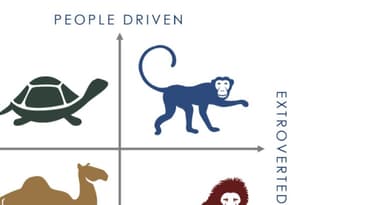 The Much Loved Monkey - You Gotta Love ‘Em