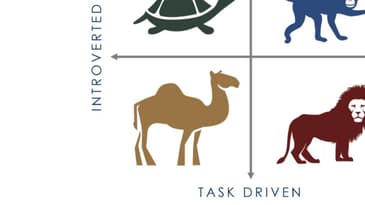 The Competent Camel