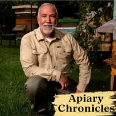 2. Exploring the World of Bees and Digital Creations with Fred Dunn