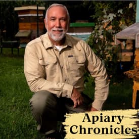 2. Exploring the World of Bees and Digital Creations with Fred Dunn