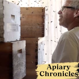 1. Thriving Colonies Through Natural Practices with Mr. Ed