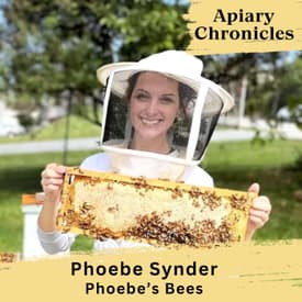 5. Hygienic Bees with Phoebe Synder